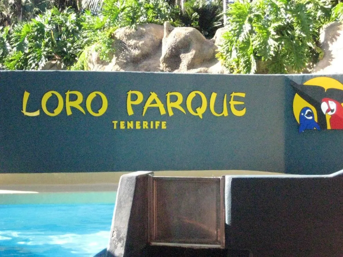 Modern Apartment In Adeje, 65 Sqm, Year-Round Pool Costa Adeje  0*, Costa Adeje (Tenerife) Španělsko